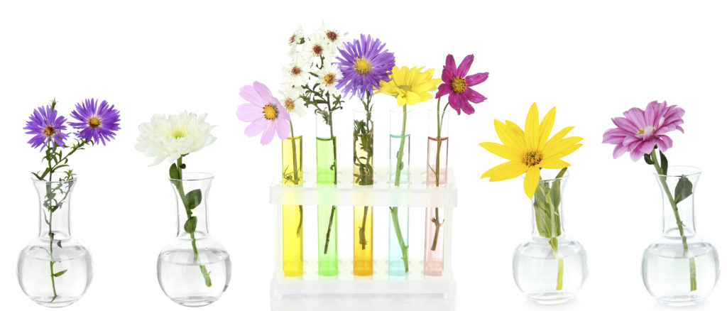 Flowers In Glass Vases