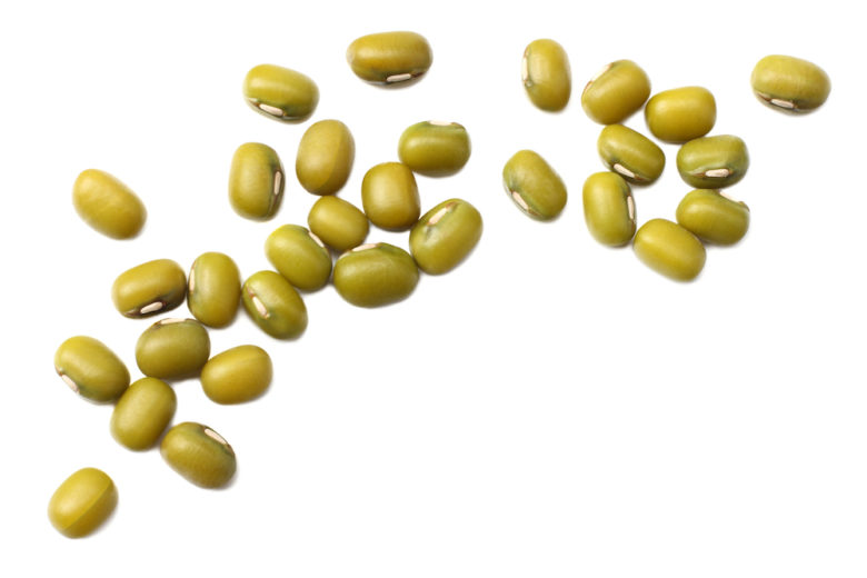 Mungbean Stem Cell